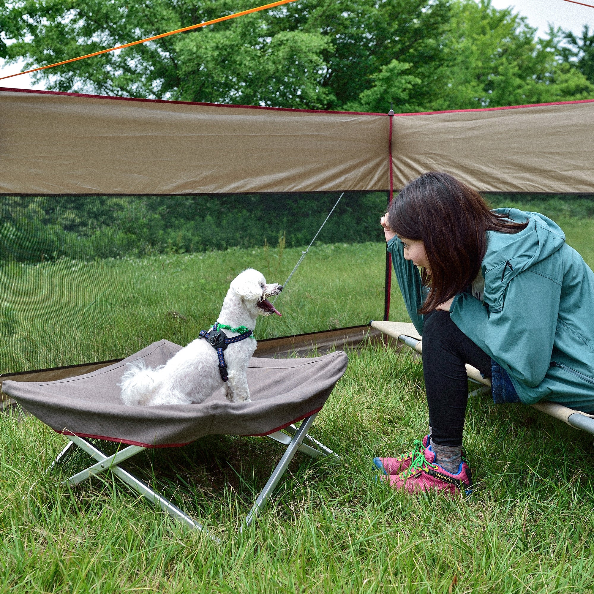 Dog Cot - Image 8