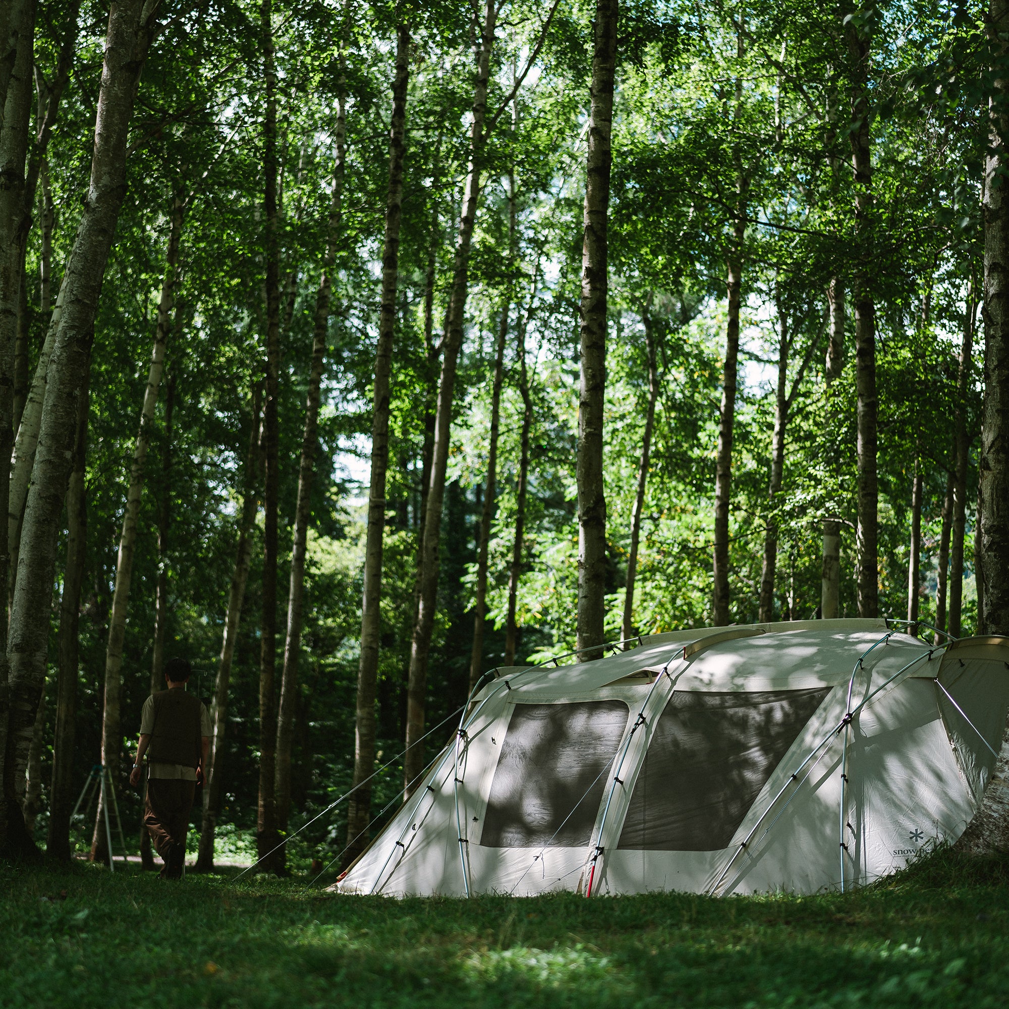 Landlock Ivory - Image 5