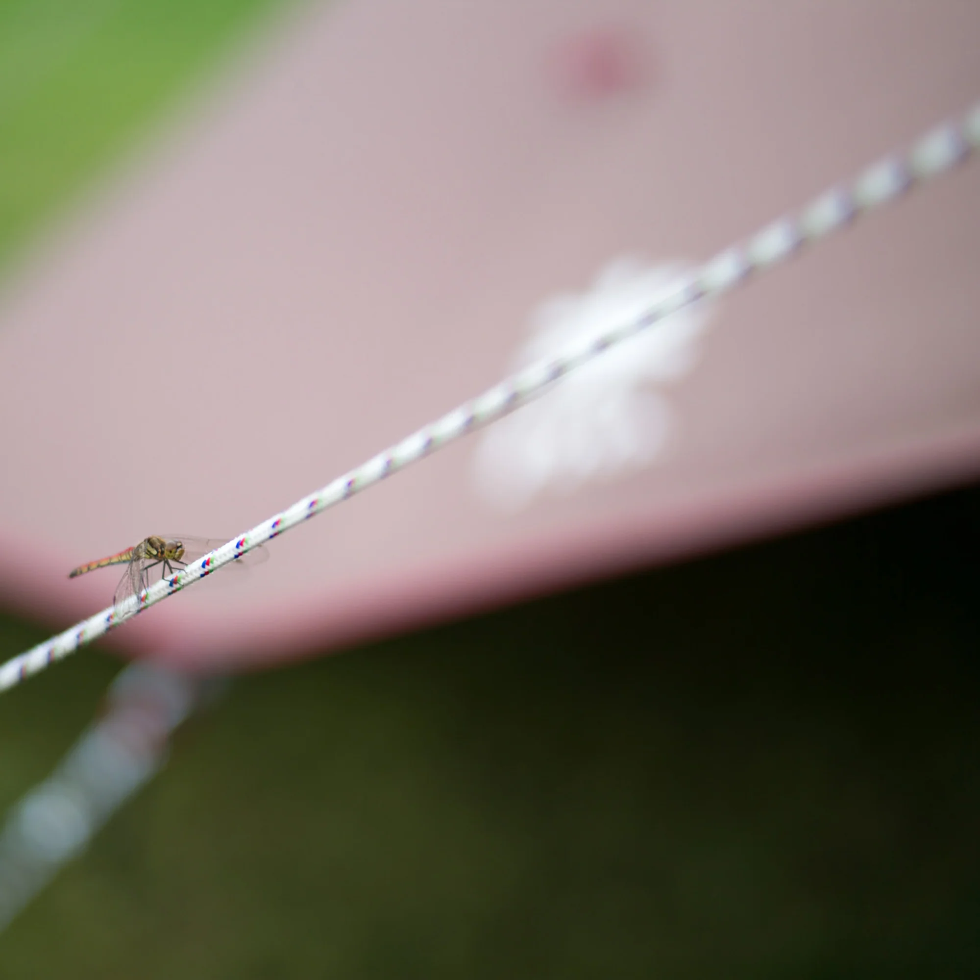 Polypropylene Rope Pro 3mm - Image 3
