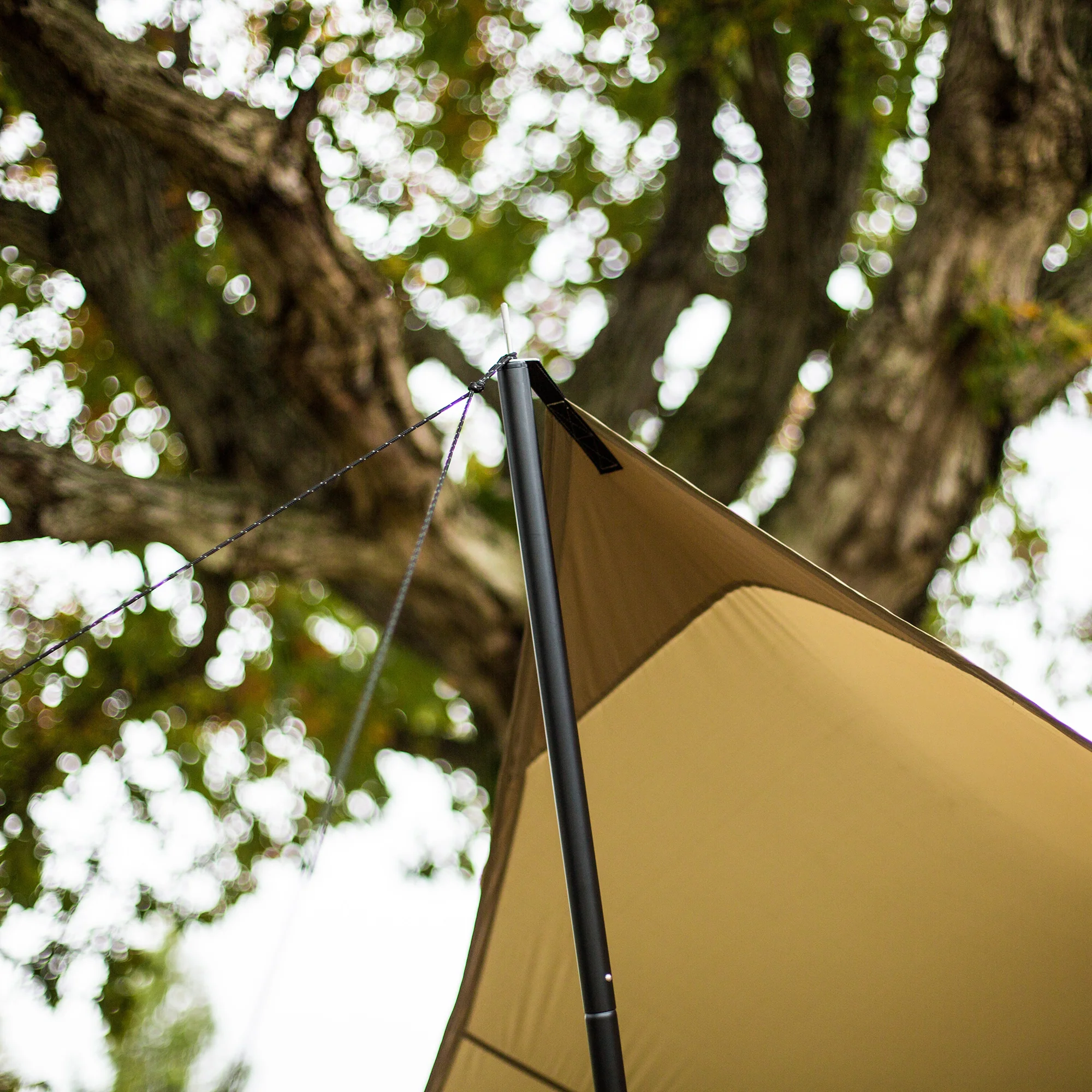 Wing Pole 280cm - Image 4
